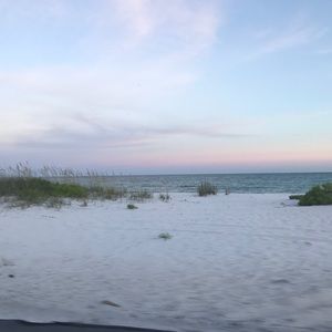 Meet your Posher, Jaci